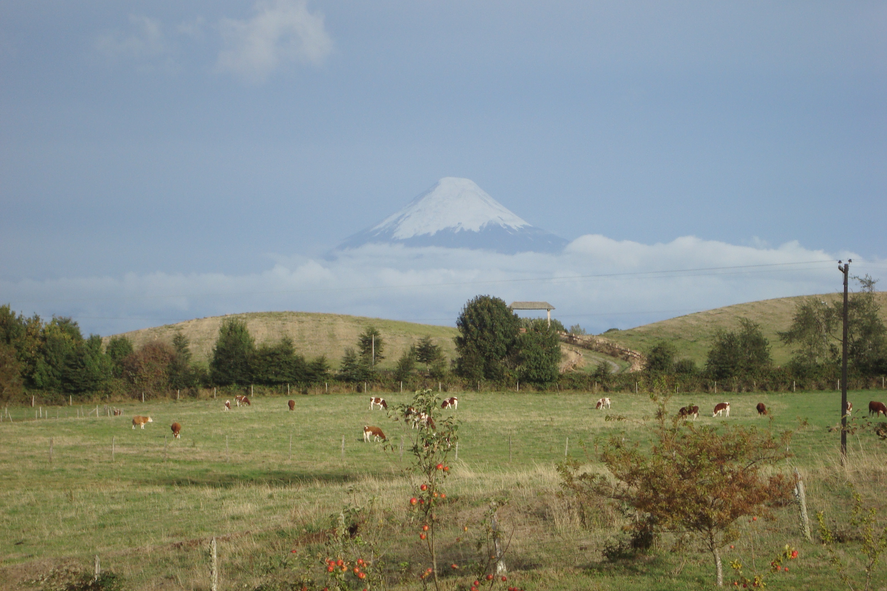 Volcán Osorno y Lago Llanquihue desde Puerto Octay